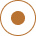 icono-circulo-naranja